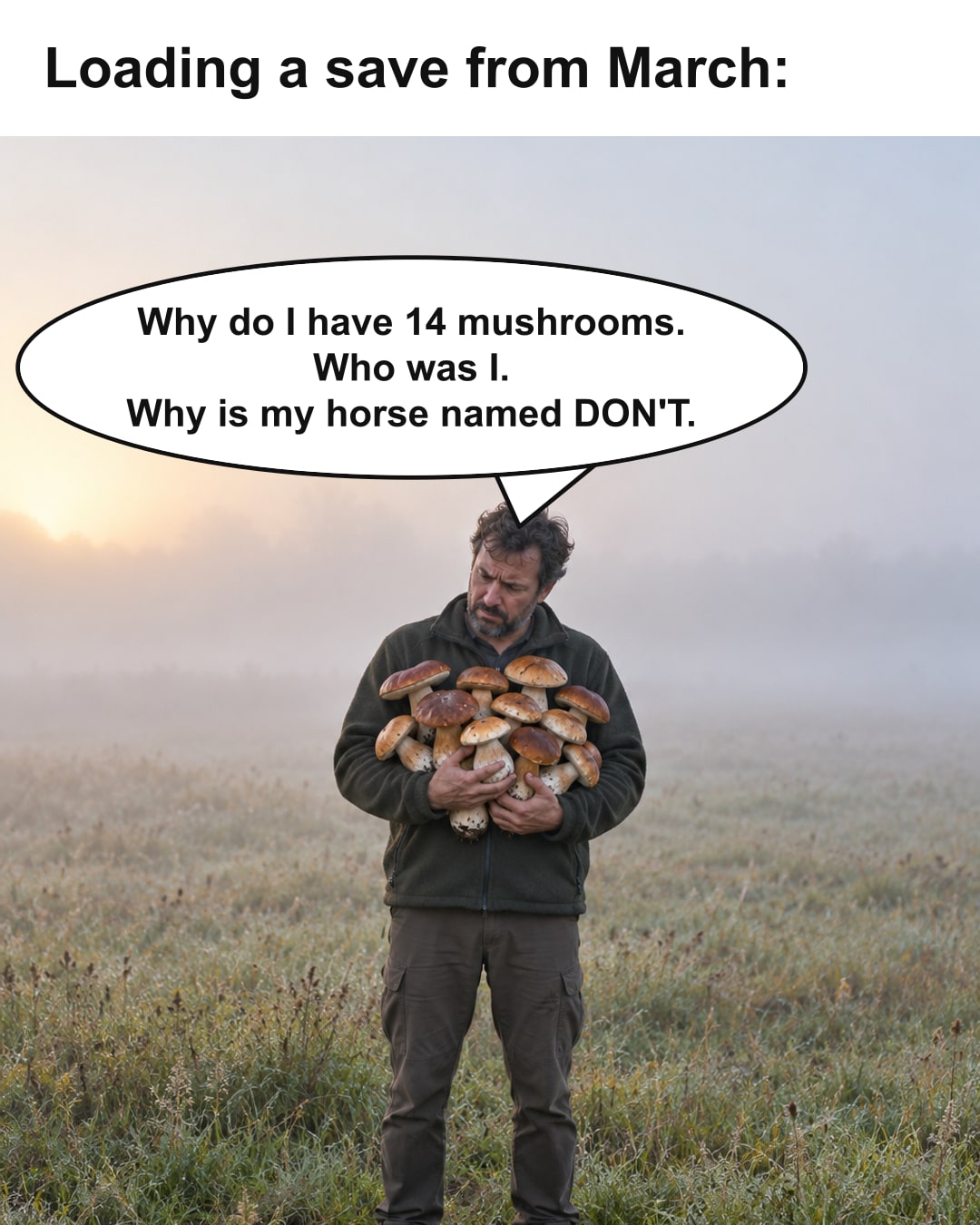 A man in a fleece stands alone in a misty field at dawn, arms full of fourteen wild mushrooms, looking down at them, puzzled. Caption above: 'Loading a save from March:'. Speech bubble: 'Why do I have 14 mushrooms. Who was I. Why is my horse named DON'T.'